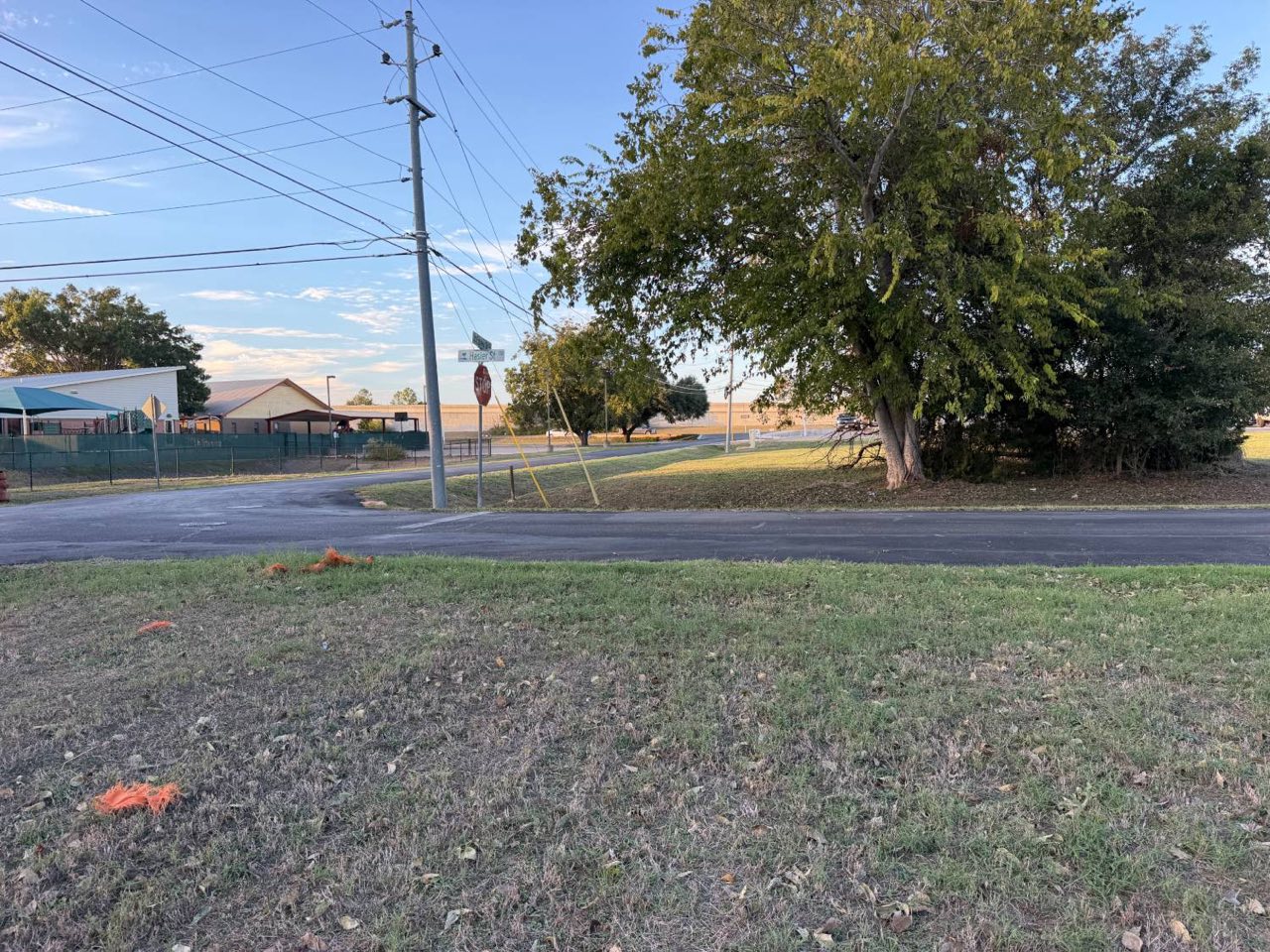 View from the lot across the street to the Hasler Street sign and a large tree